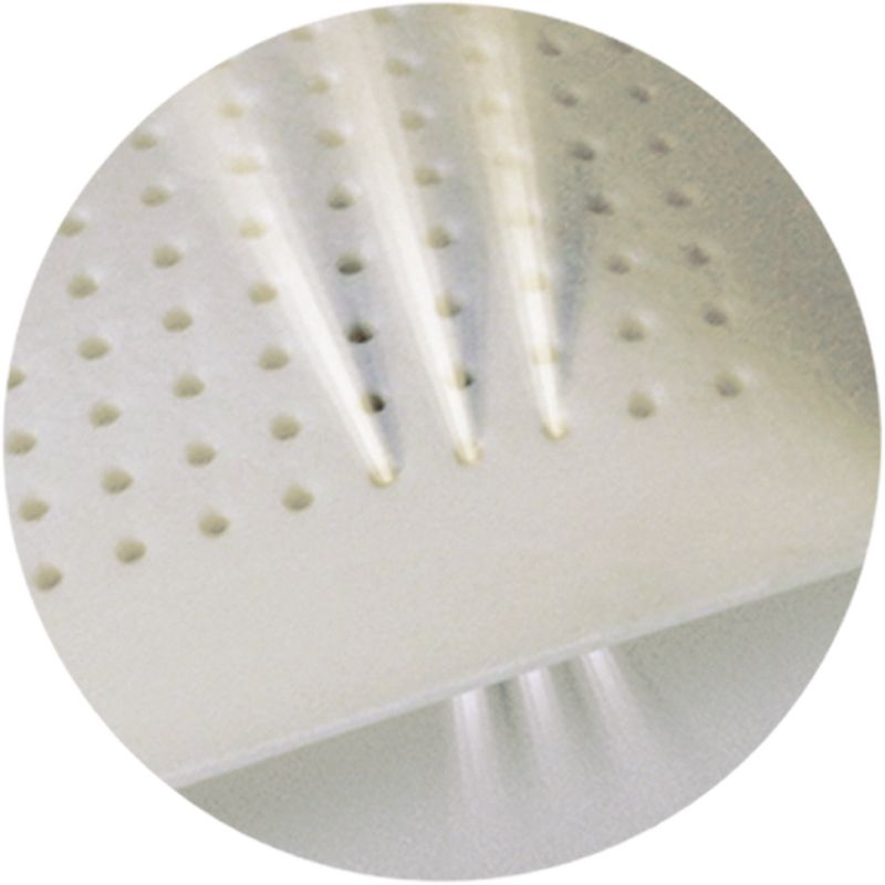 VEGELYA PREMIUM כריות טבעיות עם זיכרון צורה – תמונה 3